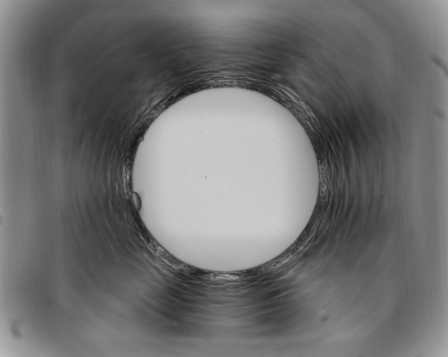 X0000096660669200803041202