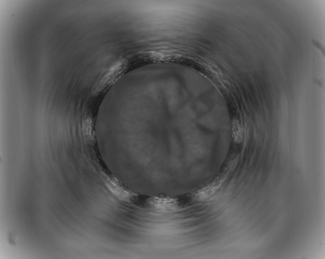 X0000096660670200803041202