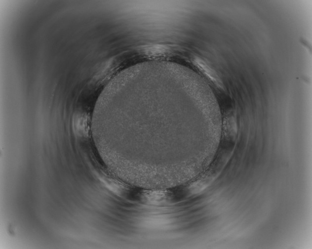 X0000096660671200803041202