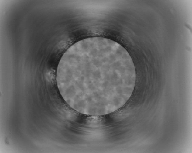 X0000096660672200803041202