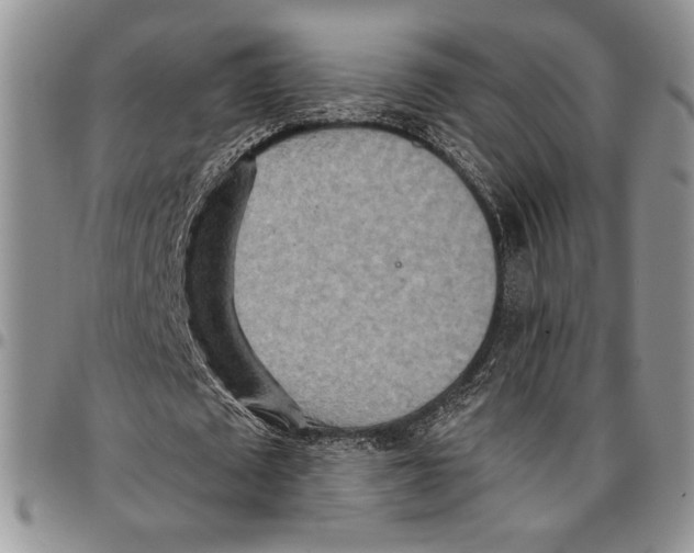 X0000096660673200803041201