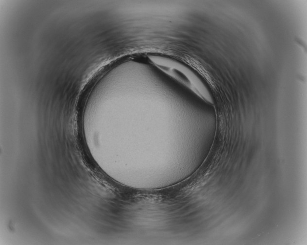 X0000096660676200803041201