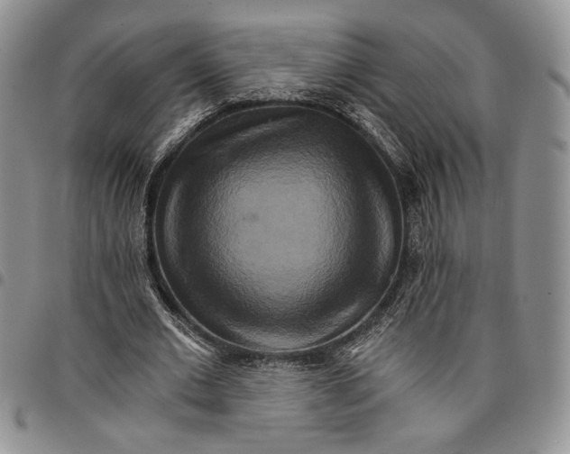 X0000096660677200803041201