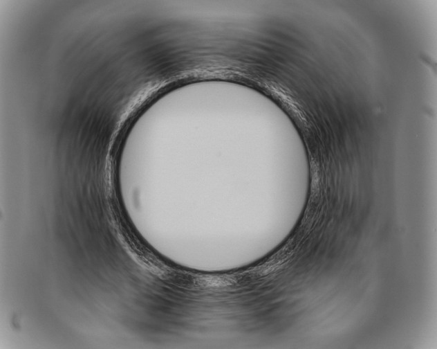 X0000096660678200803041201