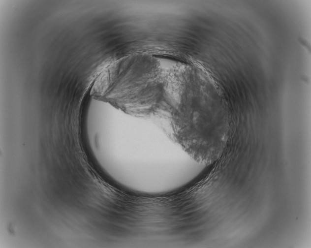 X0000096660679200803041201