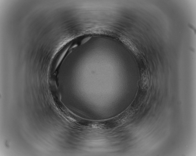 X0000096660680200803041201