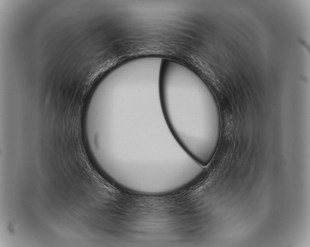 X0000096660681200803041201