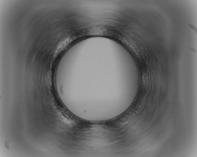 X0000096660682200803041201