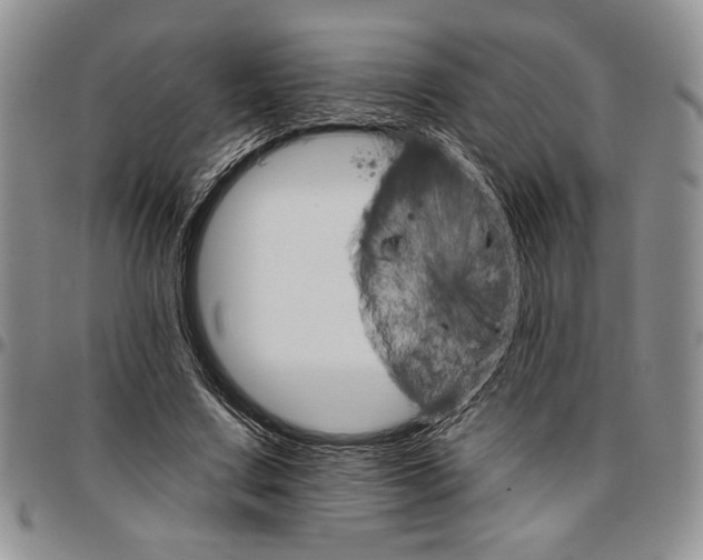 X0000096660683200803041201