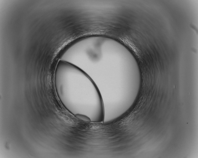 X0000096660684200803041201