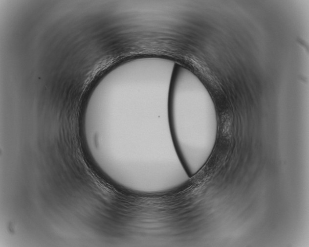 X0000096660685200803041201