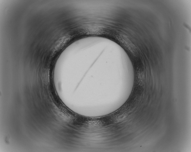 X0000096660686200803041201