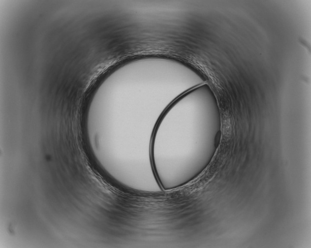 X0000096660688200803041201