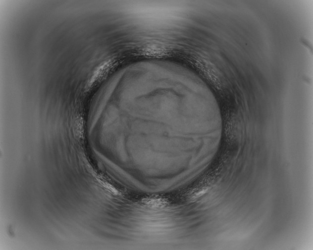 X0000096660689200803041201