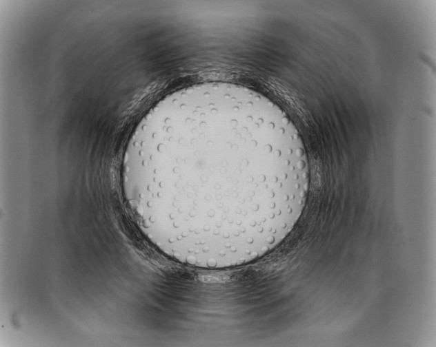 X0000096660690200803041201