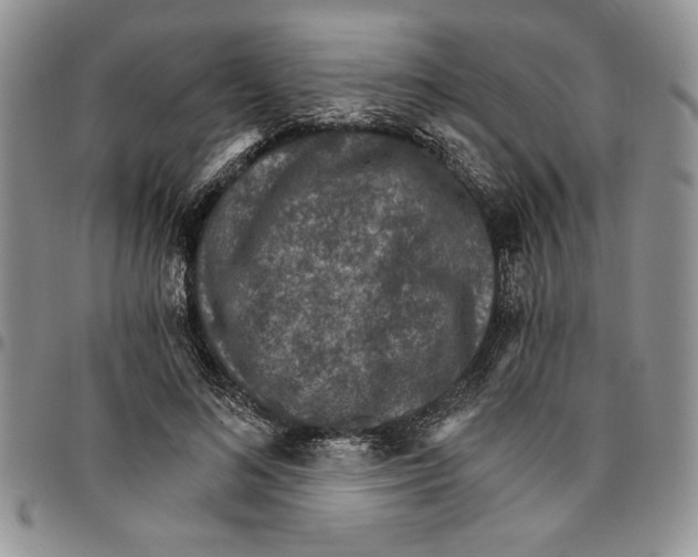 X0000096660692200803041201