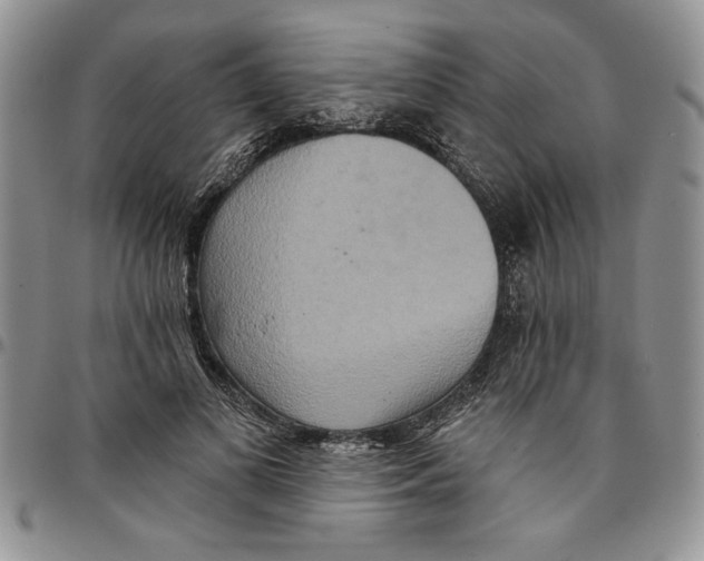 X0000096660693200803041201