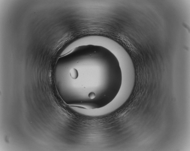 X0000096660696200803041201