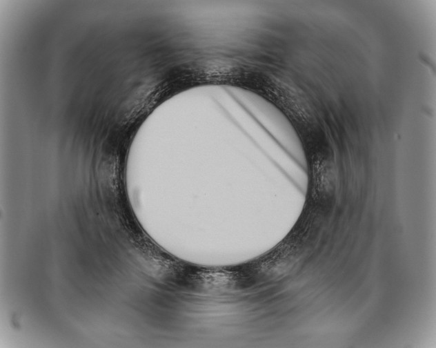 X0000096660698200803041201