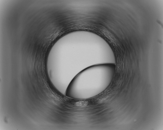 X0000096660700200803041201