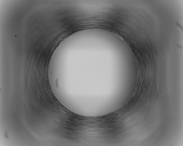 X0000096660701200803041201