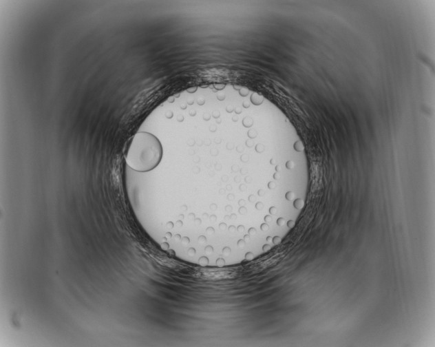 X0000096660702200803041201