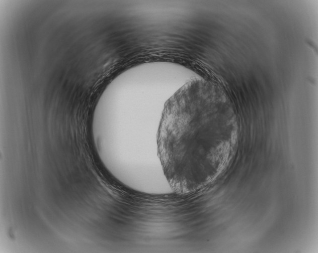 X0000096660703200803041201