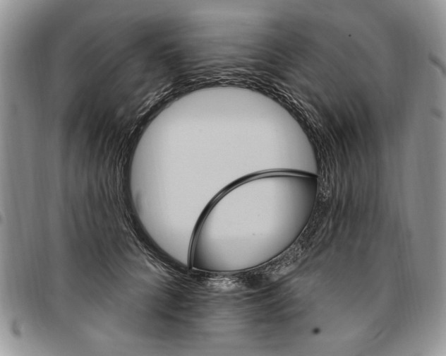 X0000096660704200803041201