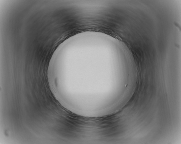 X0000096660705200803041201