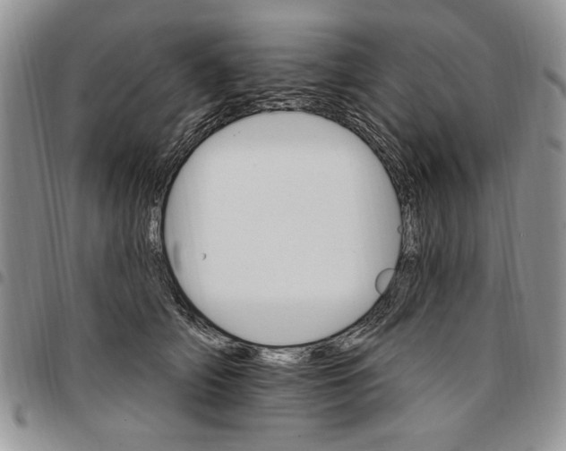 X0000096660706200803041201