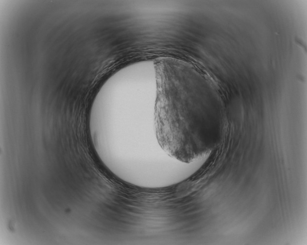 X0000096660707200803041201