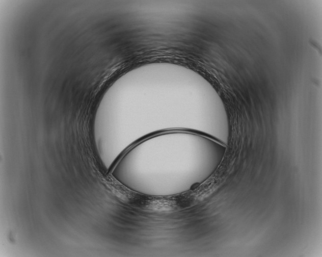 X0000096660708200803041201