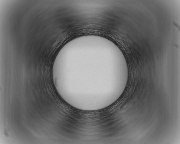 X0000096660709200803041201