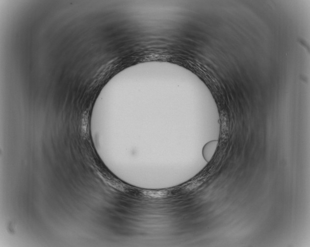 X0000096660710200803041201