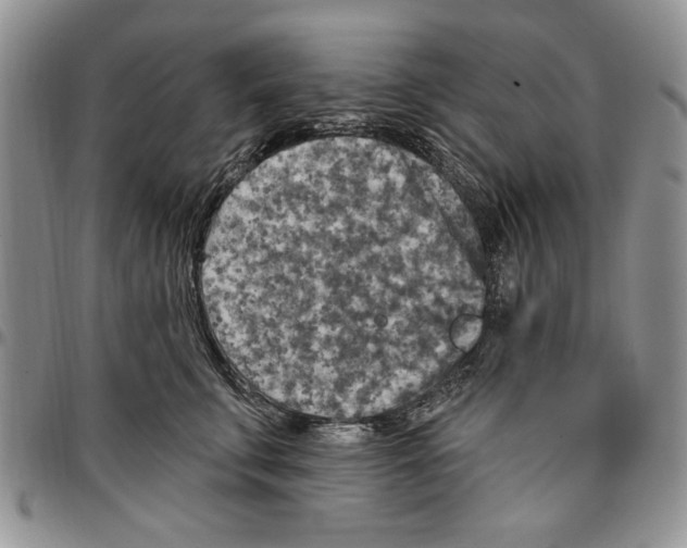 X0000096660711200803041201