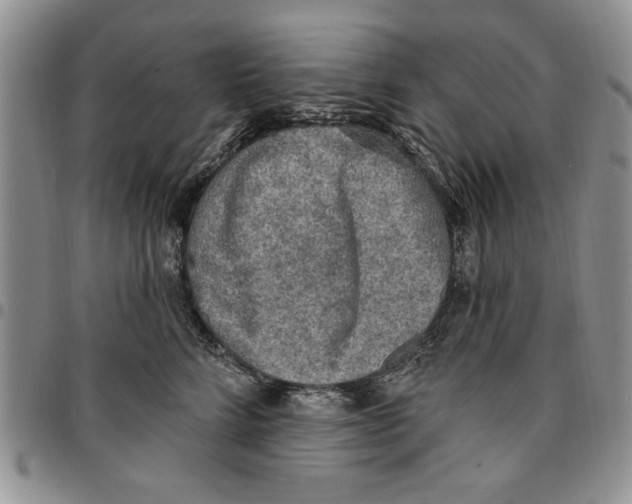 X0000096660712200803041201