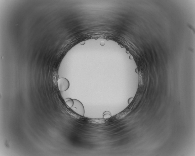 X0000096660718200803041201