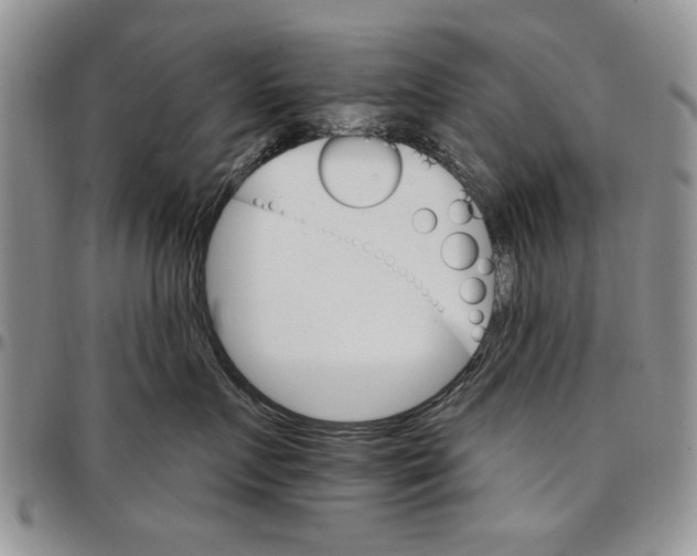 X0000096660719200803041201