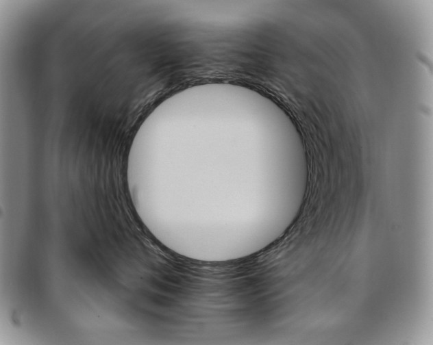 X0000096660720200803041201