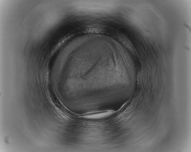 X0000096660722200803041200