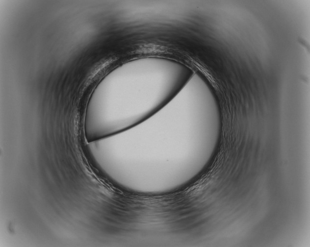 X0000096660724200803041200