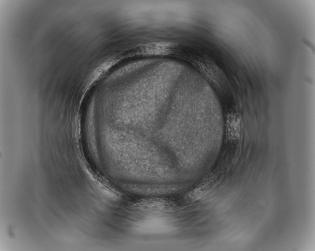 X0000096660726200803041200