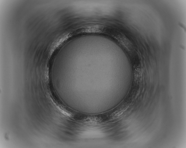 X0000096660727200803041200