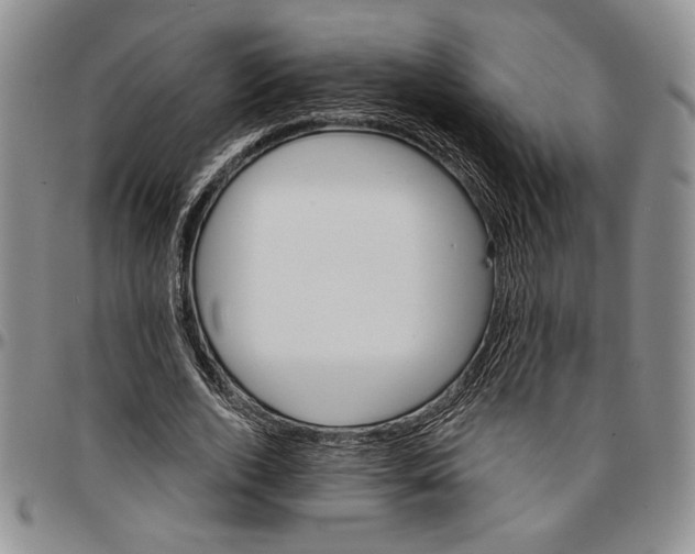 X0000096660728200803041200