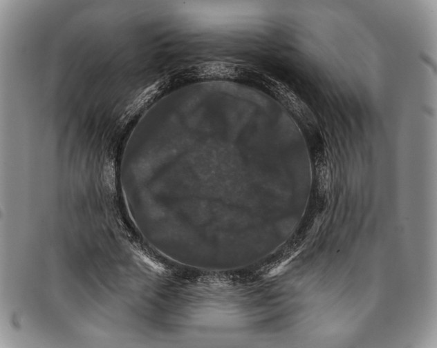 X0000096660729200803041200