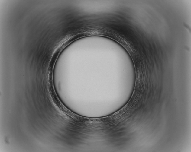 X0000096660730200803041200