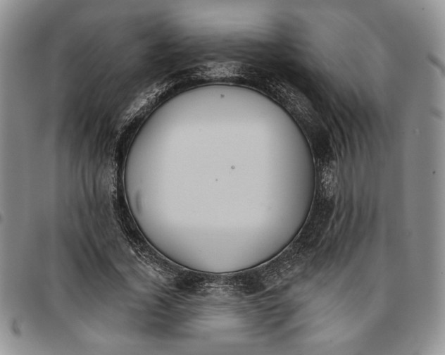 X0000096660732200803041200