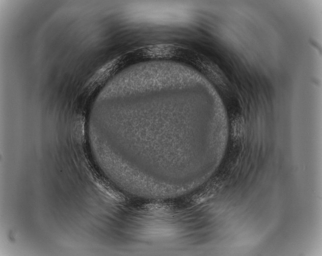 X0000096660733200803041200