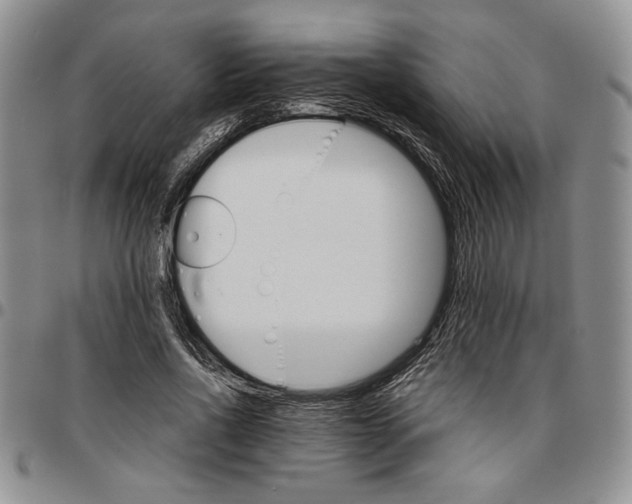 X0000096660734200803041200