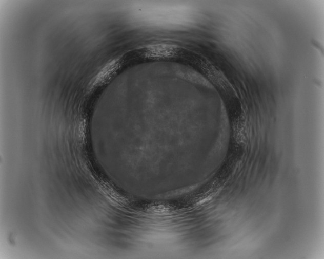 X0000096660735200803041200